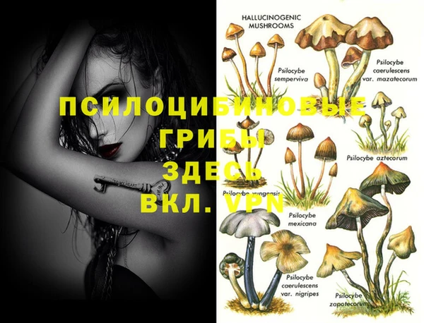 герыч Алексеевка