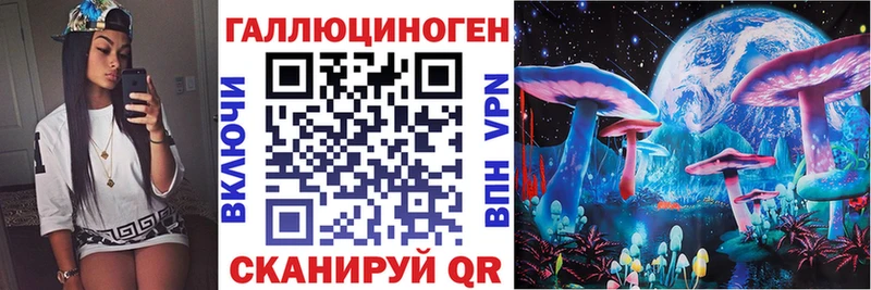 купить   Анапа  Псилоцибиновые грибы MAGIC MUSHROOMS 